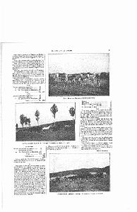 LIVRE D OR DE L ORANIE_000012